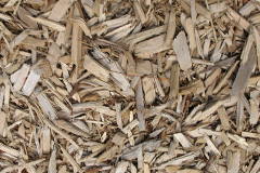 biomass boilers Budlake