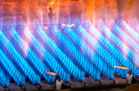 Budlake gas fired boilers